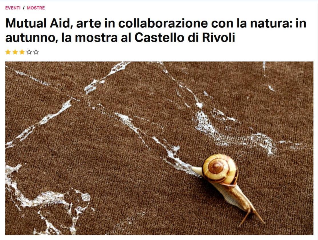 شقة La Casa Di Silvio Ai Giardini Reali تورينو المظهر الخارجي الصورة